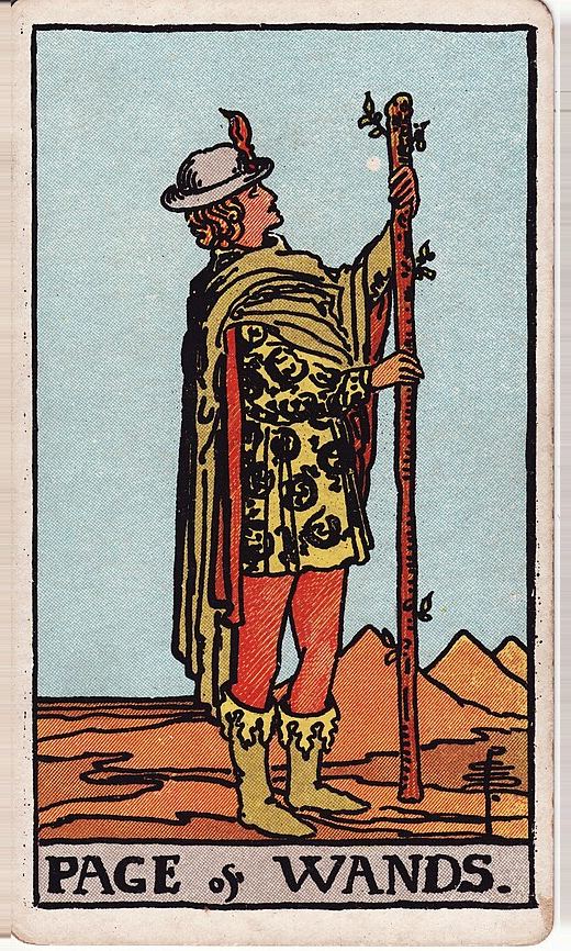 Lá Tiểu đồng Gậy (Page of Wands)